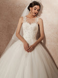 Modern Appliques Lace  Wedding Dresses
