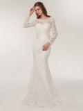 Lace Mermaid Wedding Dresses