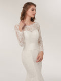 Lace Mermaid Wedding Dresses