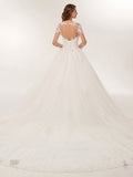 Long Sleeves Ball Gown Wedding Dresses